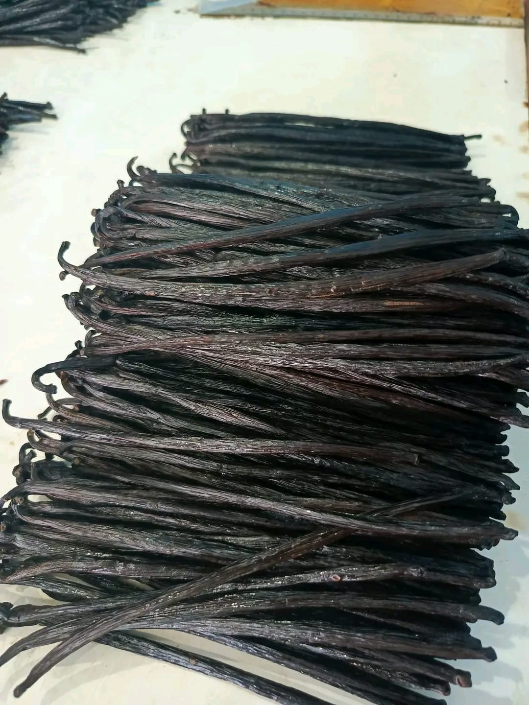 Uniformly Sorted Indonesian Vanilla Beans